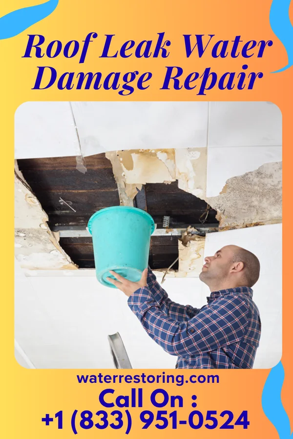 Roof Leak Water Damage Repair in Fox, MT